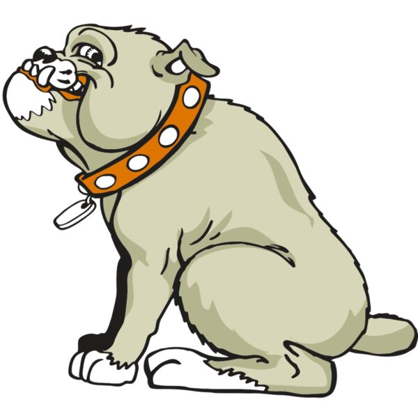 AR BDOG 26 RC Miniaturansicht