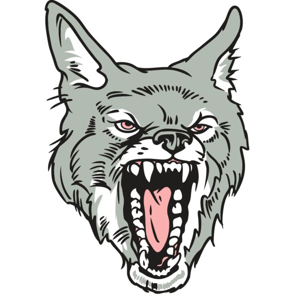 AR32 COYOTE 11 RQC Miniaturansicht