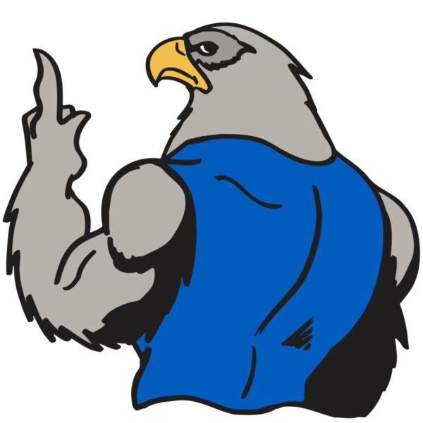 AR5 Hawk 12 RQC Miniaturansicht