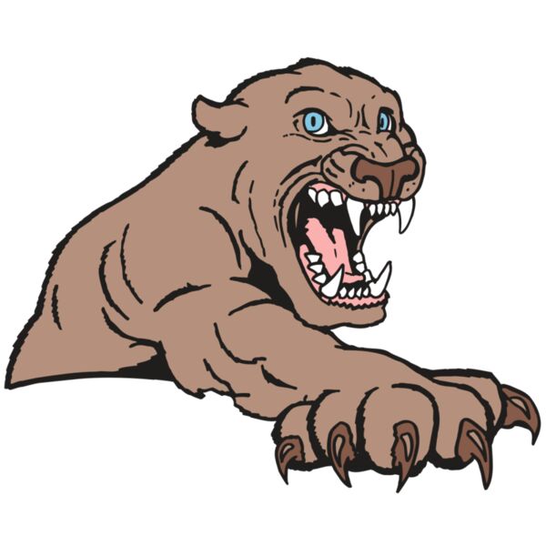 AR5 COUGAR 20 RQC Miniaturansicht