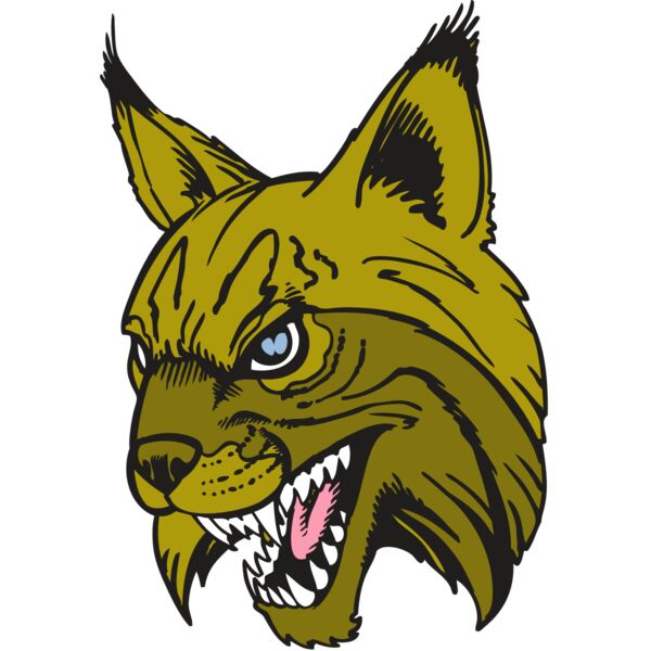 BAW BOBCAT 05 RC Miniaturansicht