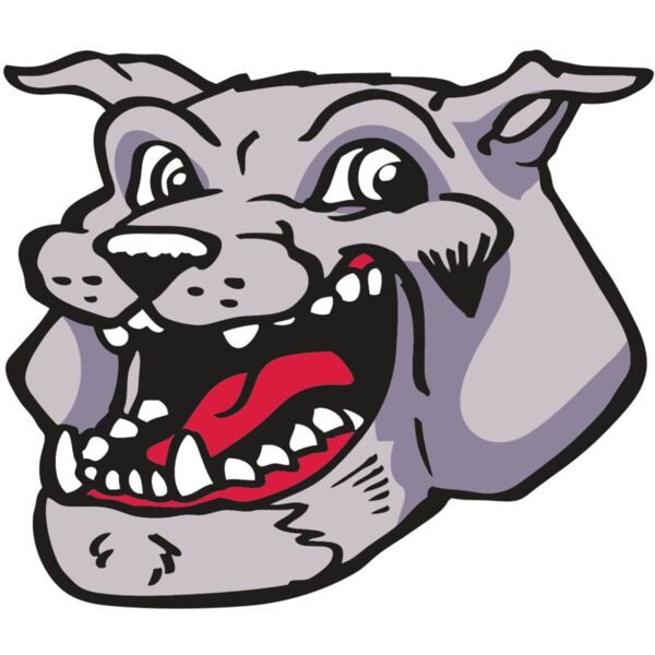 AR BDOG 24 RC Miniaturansicht