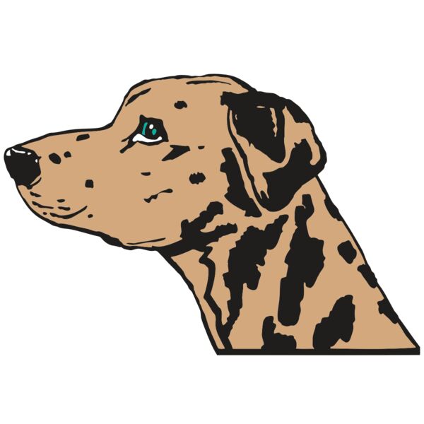 AR2 OTHER 03 RQC Miniaturansicht