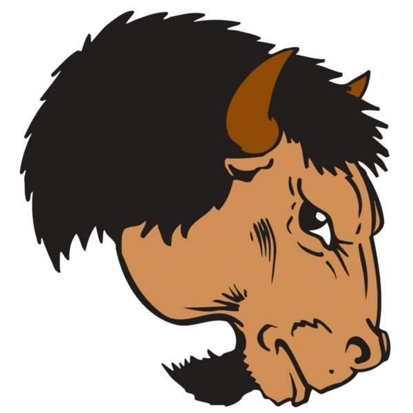 AR BUFFALO 16 RC Miniaturansicht