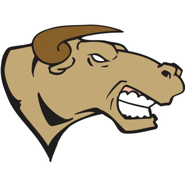 AR BULL 30 RC Miniaturansicht