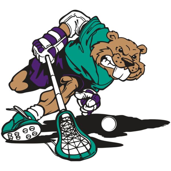 AR8 BEAVER 01 RQC Miniaturansicht