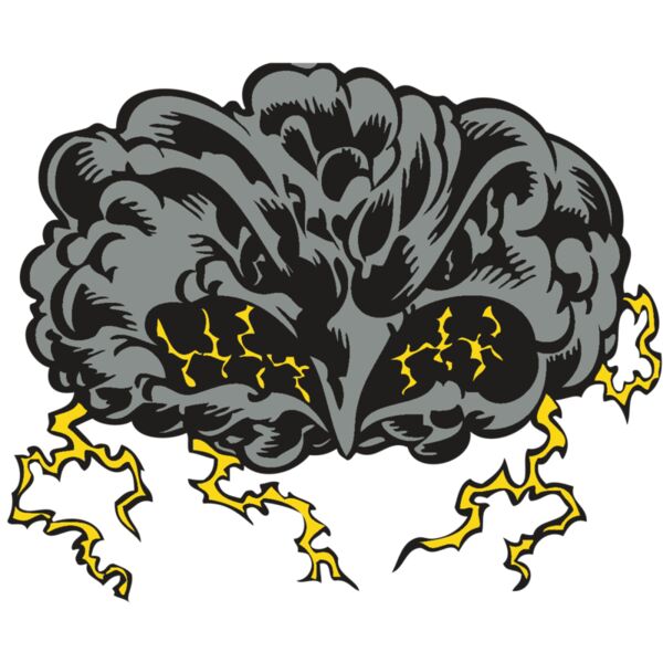 BAW STORM 11 RC Miniaturansicht