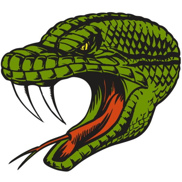 BAW SNAKE 14 RC Miniaturansicht