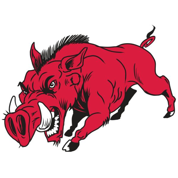 AR22 RAZORBACK 01 RQC Miniaturansicht