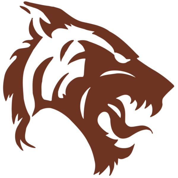 AR5 TIGER 06 RQC Miniaturansicht