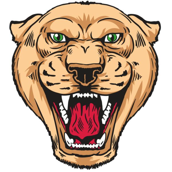 AR13 PNTHR 01 RQC Miniaturansicht