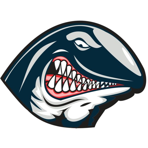 WHALE HD0501 RQC Miniaturansicht