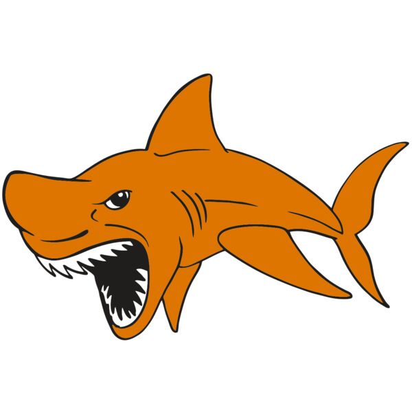 AR  SHARK 20 RC Miniaturansicht