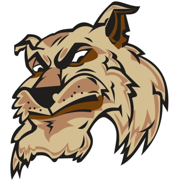 WILDCAT HD0501 RQC Miniaturansicht