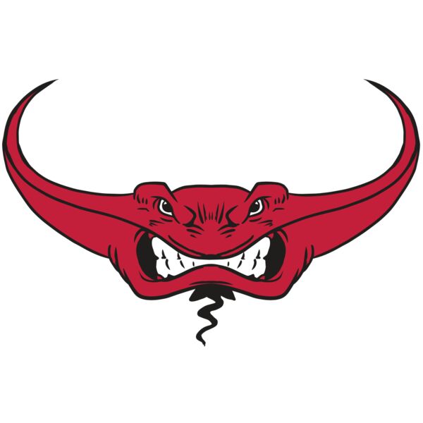 AR19 STINGRAY 03 RQC Miniaturansicht