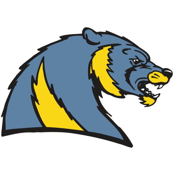 AR5 Wolverine 20 RQC Miniaturansicht