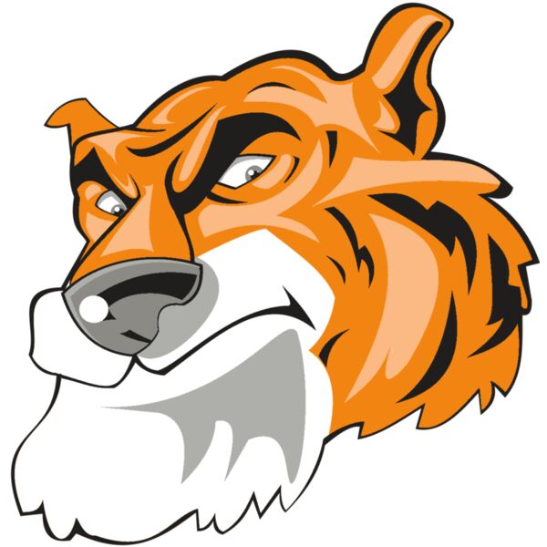 TIGER HD0501 RQC Miniaturansicht