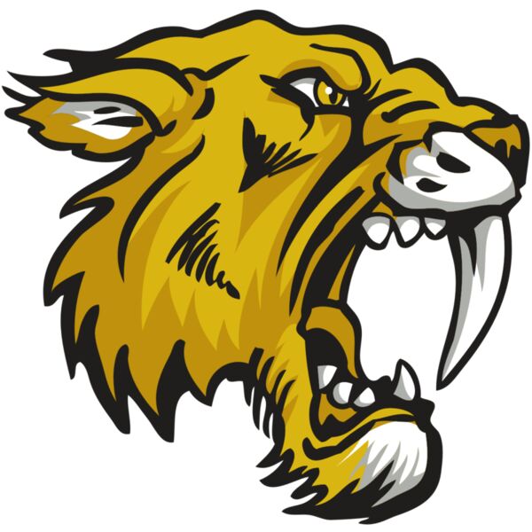 AR30 SABER 03 RQC Miniaturansicht